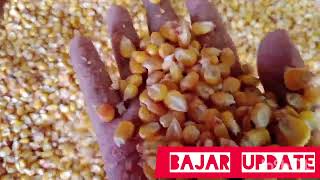 ভুট্টার পাইকারি দাম corn price 3 july 2024 [upl. by Eikcid987]