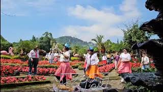 Kebun Begonia  Let Me Be There Linedance [upl. by Ecirtac]