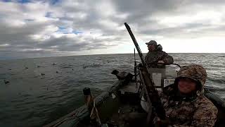 My First Old Squaw Lake Huron Sea Ducks [upl. by Eiryk]