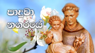 Paduwa Nagaraye  පාදුවා නගරයේ  Sinhala Geethika  Full HD  Lyrics [upl. by Rosy]