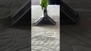 How to Clean Mattress and Bedding  Day 13 Spring Cleaning Spree 2024 cleaning howto bedroom [upl. by Ahsienal348]