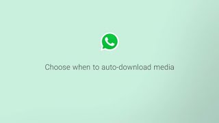 How to Configure Auto Download for Media  Data Usage Tips  WhatsApp [upl. by Benge]