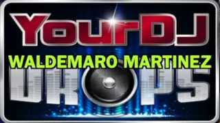 Drops DJs  Waldemaro Martinez [upl. by Selec]