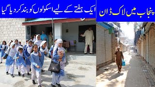 Schools Shut Down for a Week  Smoke in Lahore  Bluelane News [upl. by Atrebla]