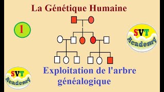 1 La génétique humaine  Exploitation de larbre généalogique  SVT BAC [upl. by Enirual]