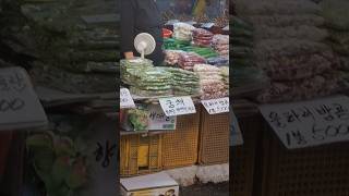 햇번데기 울타리 밤콩 궁채등  celtuce etc 재래시장 streetfood koreanmarket localmarket [upl. by Ariella675]