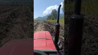 tractor zetor 2075 de 75 hp arado iamex 3 discos [upl. by Main8]