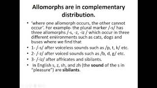 Allomorph AlternationSuppletion [upl. by Enahsed566]