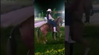 Caballos Bailadores Sinaloa Mexico Fiesta Privada [upl. by Vani625]