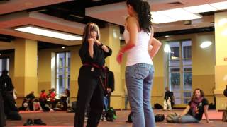 Cynthia Rothrock Fight Choreography Seminar [upl. by Loring]