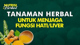 Manfaat Tanaman Alami Ini Bisa Digunakan untuk Menjaga Kesehatan Hati  Nutrisi amp Herbal 33 [upl. by Nnylatsyrc]