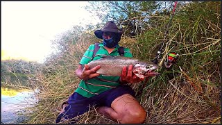 PESCA de Trucha Arcoiris con cucharas en La Angostura  Rio  Chubut  Patagonia Argentina [upl. by Meekah]