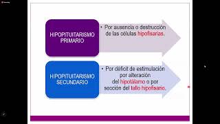 4 Sd Hipofisiarios  Dr Cercado [upl. by Attalie884]