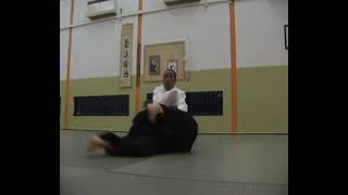 Aikido  Shimamoto Katsuyuki Shihan 8th Dan Aikikai [upl. by Dalston791]