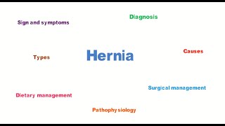 Hernia Definition  Causes  Types  Pathophysiology  Diagnosis  Management [upl. by Crescen]