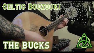 Irish Trad Bouzouki and Celtic Guitar  The Bucks of Oranmore [upl. by Brockwell]