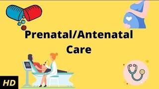 Antenatal Care  Gynecology  Health and illness nursing Foundation notes [upl. by Agatha857]