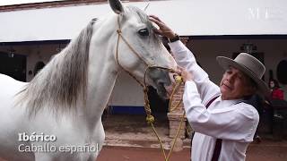 Conoce el trabajo de la Alta Escuela Domecq [upl. by Atirb]