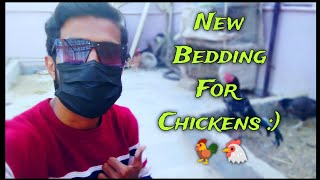 Wooden Bed for Chickens  Lakri ka burada garam hota hain [upl. by Eidnar445]