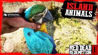 RDR2 Hunting and Skinning ISLAND Guarma Animals Gameplay🤠🤠🤠 [upl. by Chute]