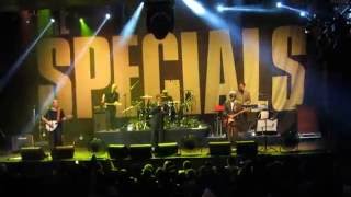 The Specials  Monkey Man Live [upl. by Nivra]