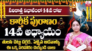 Ramaa Raavi Karthika Puranam Day 14  Ramaa Raavi Karthikapuranam 14  Karthikamasam  SumanTV Life [upl. by Ned]