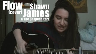 Flow  Shawn James amp The Shapeshifters Cover [upl. by Enomes]