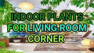 Best Indoor Plants for Living room corner decoration [upl. by Analah443]