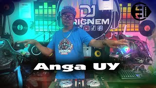 Anga Uy Budots Remix  Dj Ericnem [upl. by Annahs]