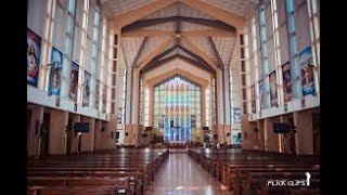 HOLY MASS Thirty Second Sunday In Ordinary Time Holy Family Basilica Nairobi [upl. by Alysoun]