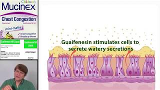 Expectorants Guaifenesin [upl. by Ynnep]