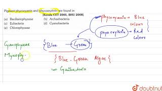 Pigment phycocyanin and phycoerythrin are found in [upl. by Rednirah]