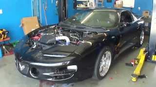 Procharged LQ4 Trans Am first startup [upl. by Haliak558]