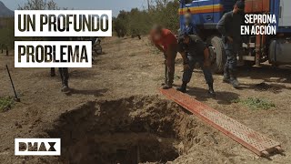 El Seprona interviene en un proyecto que no cumple las normas y supone un peligro Seprona en acción [upl. by Zetrom437]