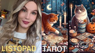 RAK ♋ LEW ♌ PANNA ♍ LISTOPAD TAROT PROGNOZA 🎃🍭🍁 [upl. by Ennaesor]