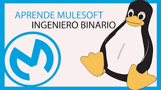 Mulesoft en español  Configurar MUnit con Anypoint Studio Parte 2 🦾 [upl. by Oliviero]