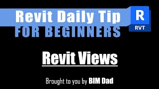 Revit Tip 4 How to Create amp Manage Views in Revit [upl. by Ytirev]