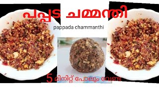 Pappada chammanthi  Variety Chammanthi Recipe In Malayalam  Chammanthi Making Without Coconut [upl. by Norehs550]