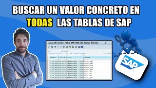 Buscar un valor concreto en todas las tablas de SAP SE16SL [upl. by Caresa]