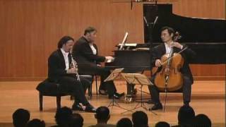 SungWon Yang Romain Guyot amp Emmanuel Strosser Brahms Clarinet Trio in a minor Op114 Allegro [upl. by Eesak]