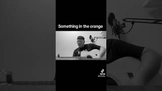 Zach Bryan something in the orange acoustic cover [upl. by Repotsirhc]