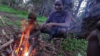 HADZABE HUNTERS ROASTING A MONKEY IN THE BUSH AND EAT IT [upl. by Salema614]