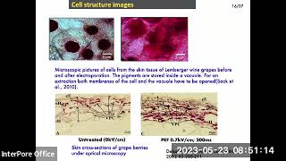 Eugene Vorobiev  InterPore2023 Plenary Lecture  Electroporation of cellular membranes [upl. by Malissa]