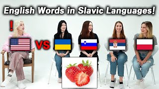 American was Shocked by Word Differences of Slavic Languages Poland Ukraine Serbia Slovenia [upl. by Ijneb744]