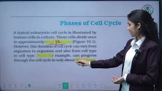 L  1  CELL Cycle and Cell Division  Class 11  UP Board  CBSE  NCERT  Phyzital Classes [upl. by Adihsar]