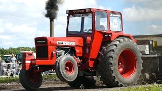 Volvo BM 800 quotTeam Red Mammutquot  Tractor Pulling Jerslev 2016 [upl. by Brynn]