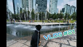 VLOG  21 PRIMER BAÑO DE KODA [upl. by Arba558]