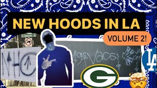 NEW HOODS IN LA VOLUME 2 [upl. by Namyl]