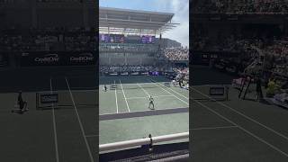 Danielle Collins hits a missile return winner shorts tennis [upl. by Acinoj820]