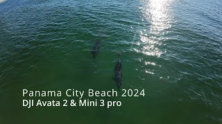 Dji Avata 2 amp Mini 3 pro at the beach [upl. by Martainn]